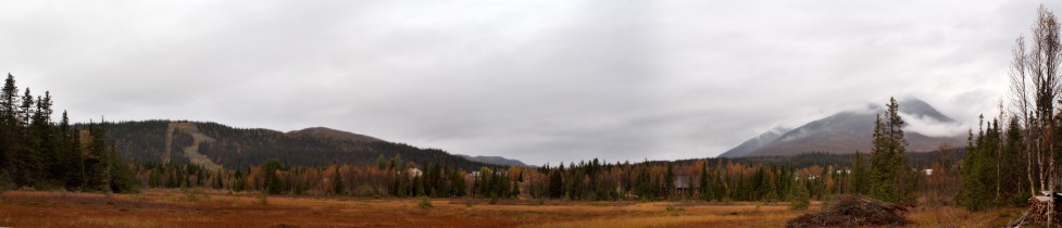 Logotyp för nilsson:s webbpost -